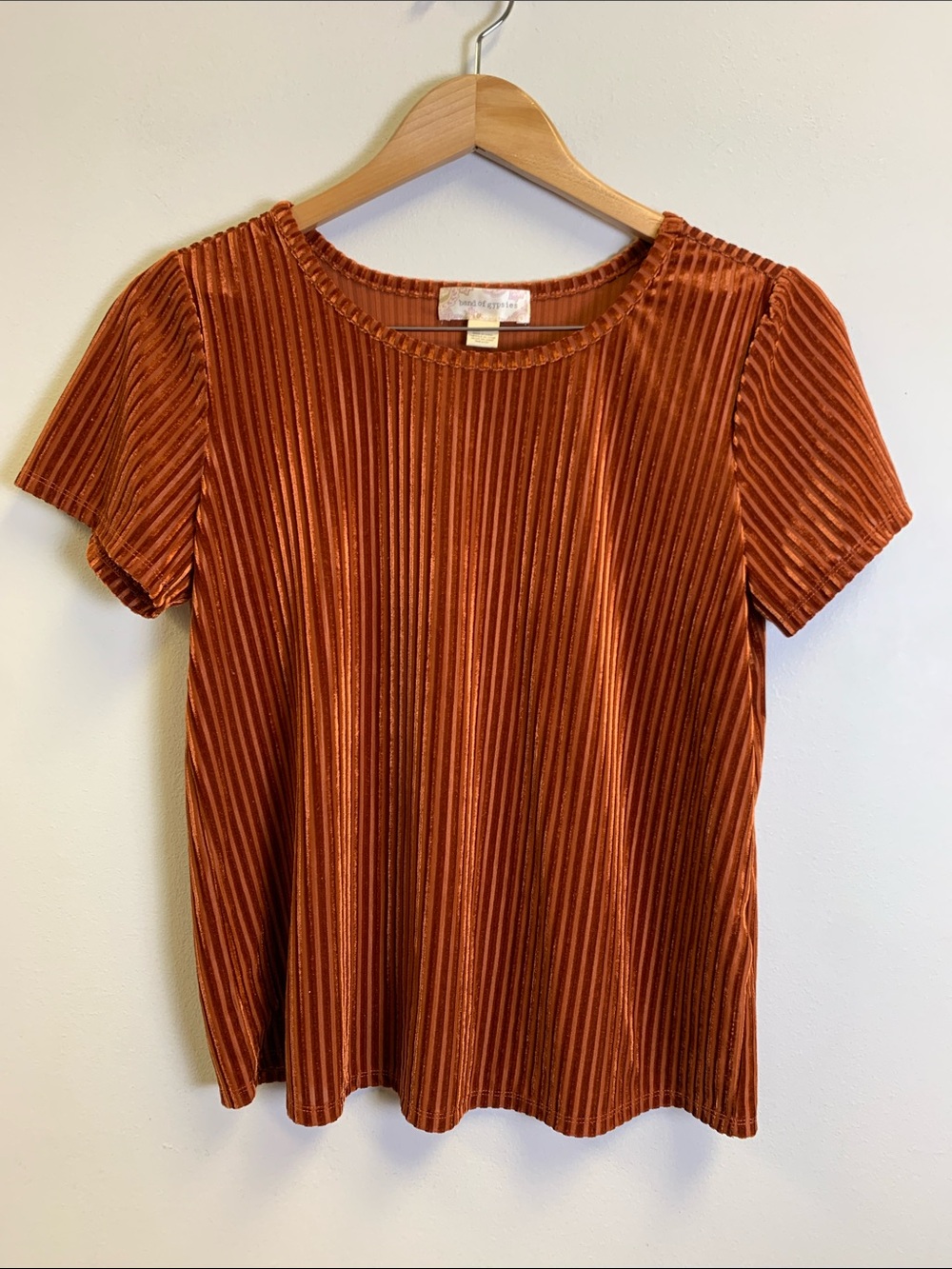 Band of Gypsies Velvet Ribbed Short Sleeve Top - Copper